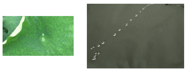 世界杯官方入口医用纺织