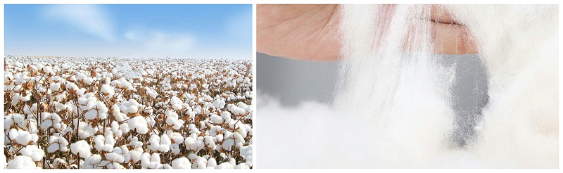 世界杯官方入口医纺