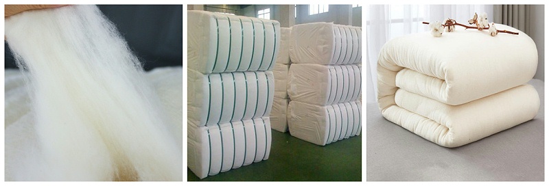 世界杯官方入口医纺