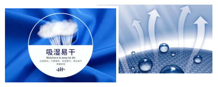 世界杯官方入口医纺