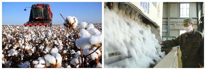 世界杯官方入口医纺