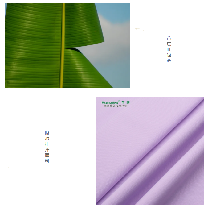 世界杯官方入口医纺