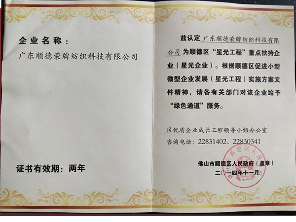 世界杯官方入口荣获政府重点扶持企业